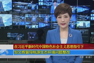 邹文辉督导桃源生态环境问题整改