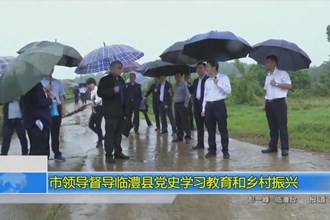 市领导督导临澧县党史学习教育和乡村振兴