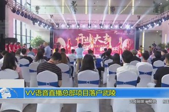 语音直播总部项目落户武陵