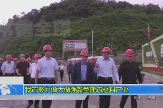 常德市聚力做大做强新型建筑材料产业