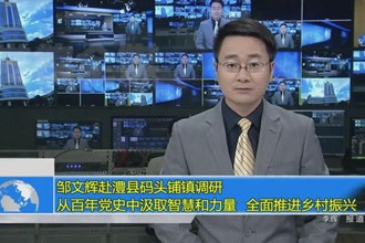 邹文辉赴码头铺镇调研：从百年党史中汲取智慧和力量 全面推进乡村振兴