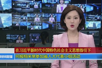 何报翔来常德参加省人大代表小组活动