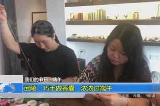 我们的节日 端午(6.14)