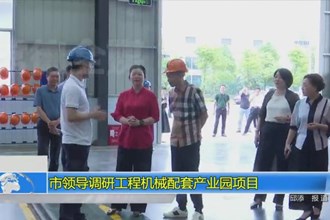 市领导调研工程机械配套产业园项目