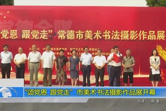 “颂党恩 跟党走” 常德市美术书法摄影作品展开幕