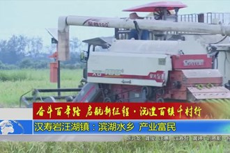 汉寿岩汪湖镇：滨湖水乡 产业富民