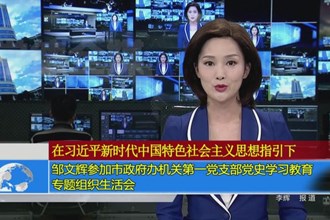 邹文辉参加市政府办机关第一党支部党史学习教育专题组织生活会