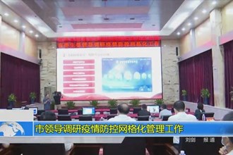 市领导调研疫情防控网格化管理工作