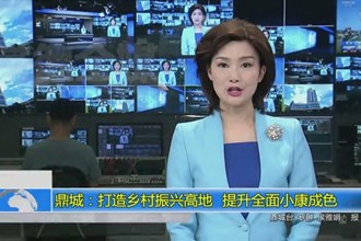 鼎城：打造乡村振兴高地 提升全面小康成色