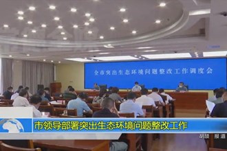 市领导部署突出生态环境问题整改工作