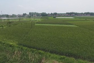 上半年常德市实现农业总产值290.6亿元