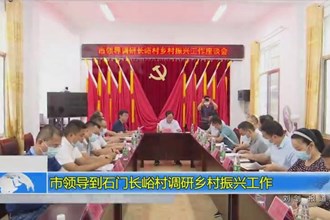 市领导到石门长峪村调研乡村振兴工作