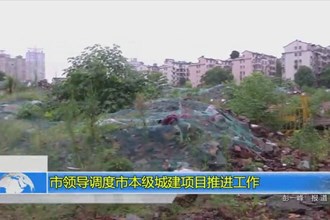市领导调度市本级城建项目推进工作