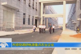 市领导调研桃源重点农业企业