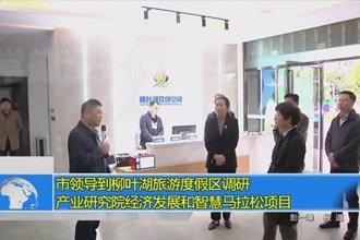 市领导到柳叶湖旅游度假区调研产业研究院经济发展和智慧马拉松项目