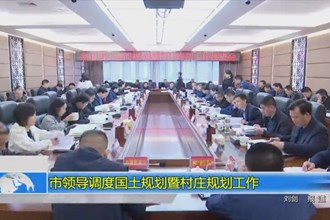 市领导调度国土规划暨村庄规划工作