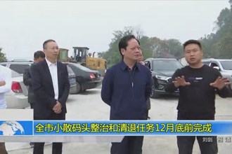 常德市小散码头整治和清退任务12月底前完成
