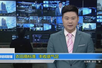 农田高标准 丰收底气足