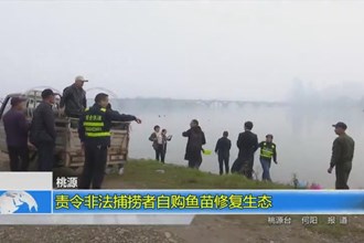 桃源：责令非法捕捞者自购鱼苗修复生态