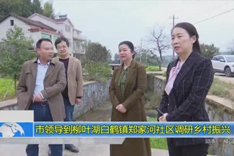 市领导到柳叶湖白鹤镇郑家河社区调研乡村振兴
