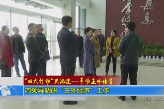 四大行动兴沅澧