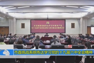市直统战系统传达学习党的十九届六中全会精神