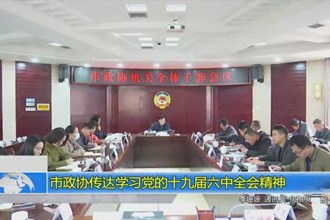 市政协传达学习党的十九届六中全会精神