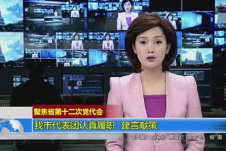 我市代表团认真履职 建言献策