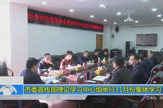 市委宣传部理论学习中心组举行11月份集体学习