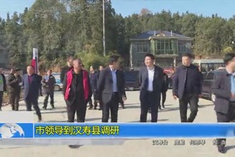 市领导到汉寿县调研