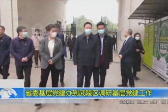 省委基层党建办到武陵区调研基层党建工作
