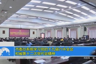 市委办系统学习党的十九届六中全会和省第十二次党代会精神