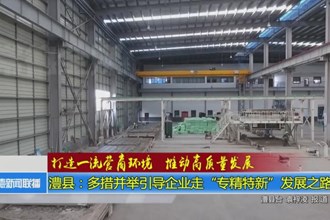 澧县：多措并举引导企业走“专精特新”发展之路