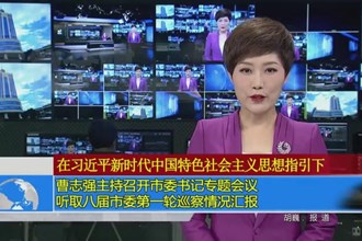 曹志强主持召开书记专题会议 听取八届市委第一轮巡察情况汇报