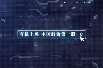 【桃花源里的品牌故事五】一只拥有“智慧”的鸡