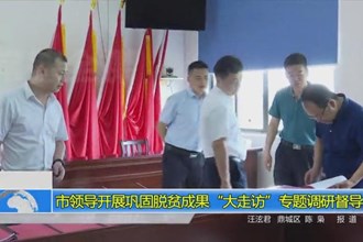 市领导开展巩固脱贫成果“大走访”专题调研督导