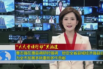 曹志强在澧县调研时强调：锁定全省县域经济强县目标 为全市发展多挑重担多作贡献