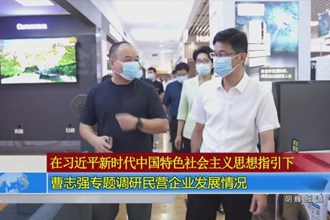 曹志强专题调研民营企业发展情况