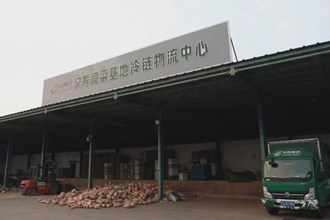 汉寿：全链条物流体系 架起蔬菜产销直通桥梁
