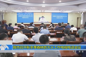 我市召开秋冬季森林防灭火工作电视电话会议