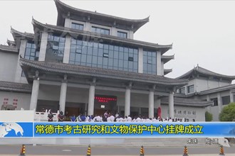 常德市考古研究和文物保护中心挂牌成立