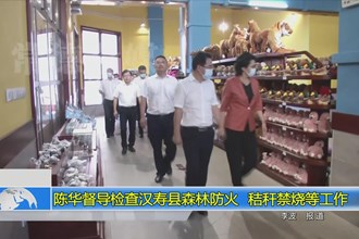 陈华督导检查汉寿县森林防火、秸秆禁烧等工作