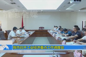 常德市召开工业经济重点工作调度会