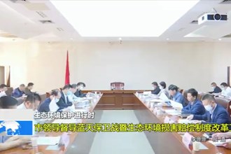 市领导督导蓝天保卫战暨生态环境损害赔偿制度改革工作