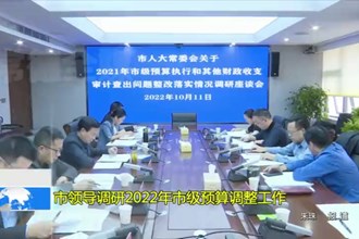 市领导调研2022年市级预算调整工作