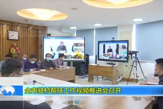 常德市驻村帮扶工作视频推进会召开