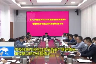 市领导督办国有自然资源资产管理情况审议意见研究处理情况