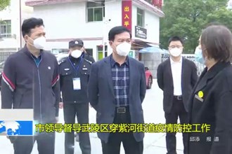 市领导督导武陵区穿紫河街道疫情防控工作