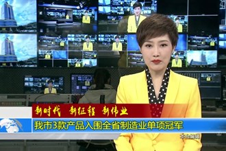 常德市3款产品入围全省制造业单项冠军