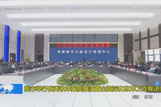 常德市举行优秀改革案例展演暨全面深化改革工作推进会